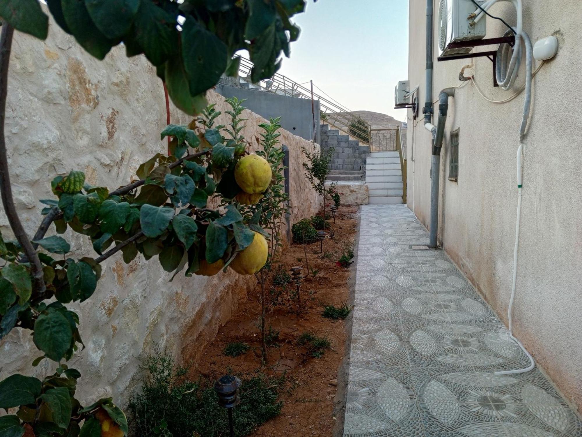 Petra Inn House 와디무사 외부 사진